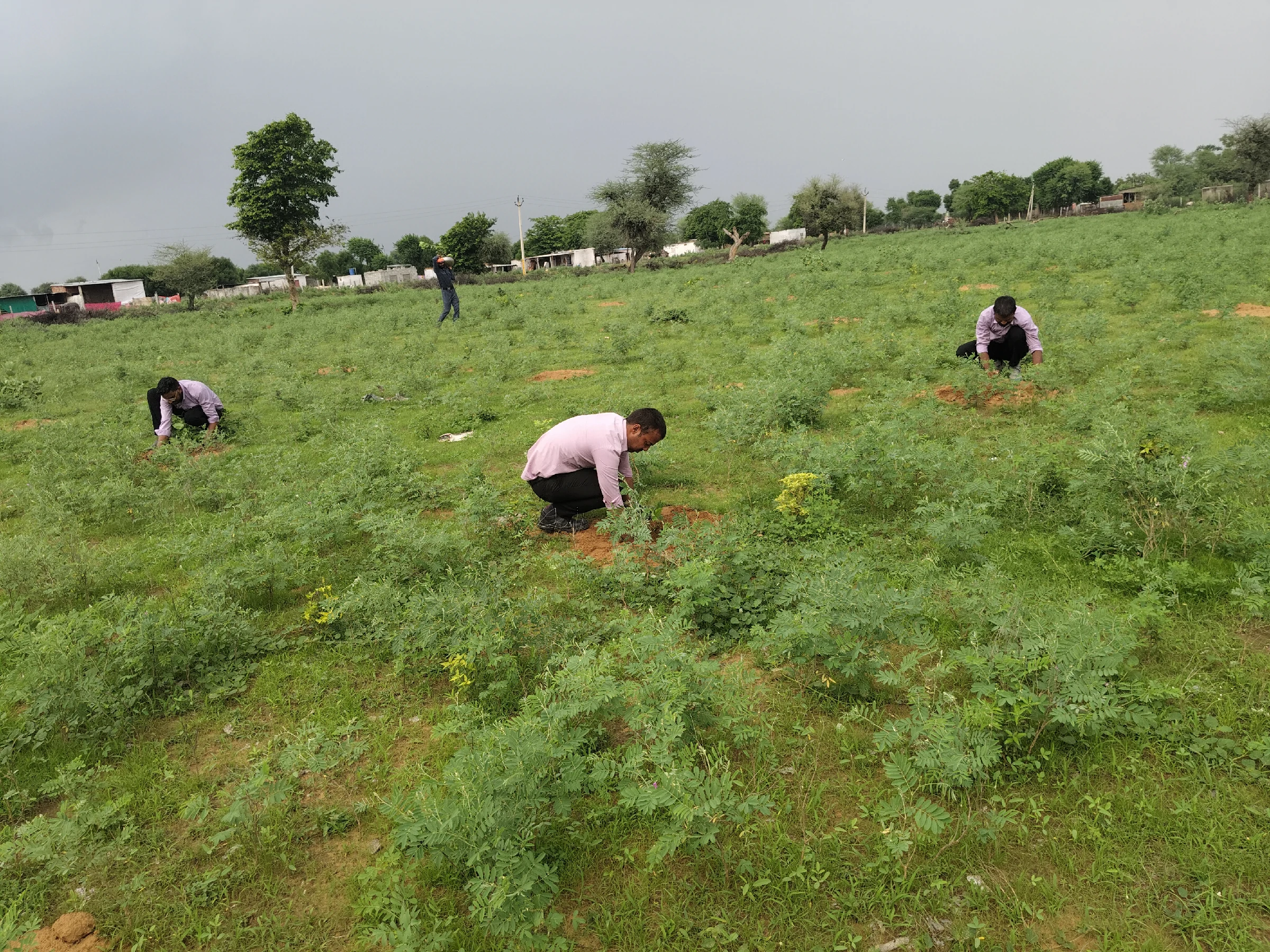 Lakhana 8